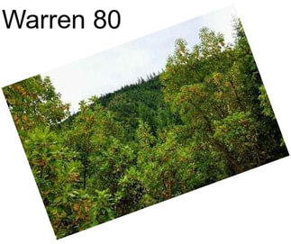 Warren 80