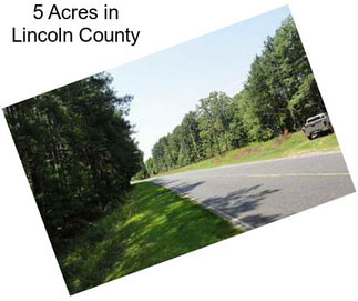 5 Acres in Lincoln County