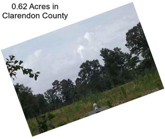 0.62 Acres in Clarendon County