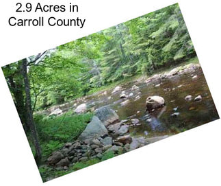 2.9 Acres in Carroll County