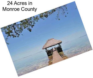 24 Acres in Monroe County