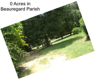 0 Acres in Beauregard Parish