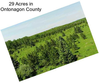 29 Acres in Ontonagon County
