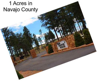 1 Acres in Navajo County