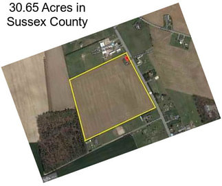 30.65 Acres in Sussex County