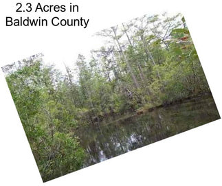 2.3 Acres in Baldwin County