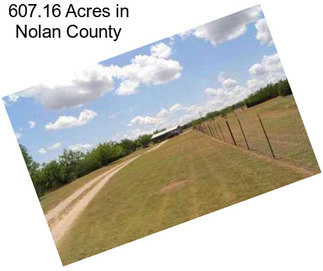 607.16 Acres in Nolan County