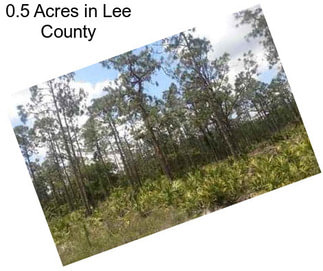 0.5 Acres in Lee County