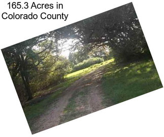 165.3 Acres in Colorado County