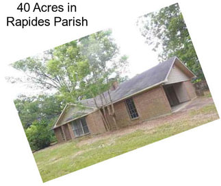 40 Acres in Rapides Parish