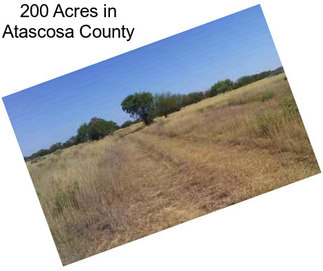 200 Acres in Atascosa County