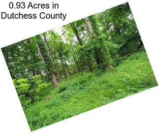 0.93 Acres in Dutchess County