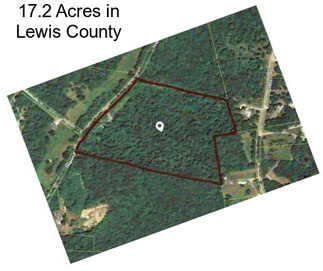 17.2 Acres in Lewis County