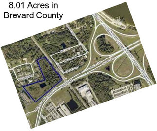 8.01 Acres in Brevard County