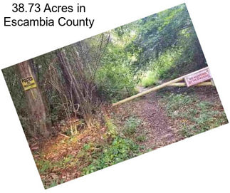 38.73 Acres in Escambia County