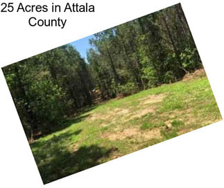25 Acres in Attala County