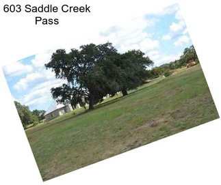 603 Saddle Creek Pass