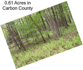 0.61 Acres in Carbon County