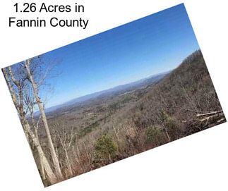 1.26 Acres in Fannin County