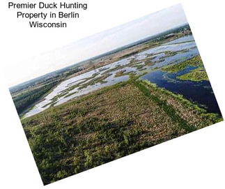 Premier Duck Hunting Property in Berlin Wisconsin