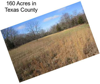 160 Acres in Texas County