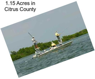1.15 Acres in Citrus County
