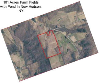 101 Acres Farm Fields with Pond In New Hudson, NY