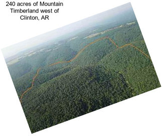 240 acres of Mountain Timberland west of Clinton, AR