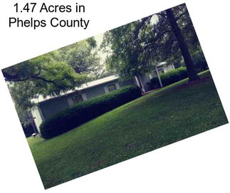 1.47 Acres in Phelps County