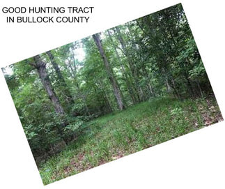 GOOD HUNTING TRACT IN BULLOCK COUNTY