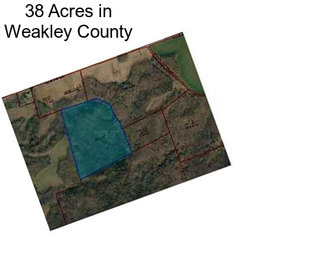 38 Acres in Weakley County