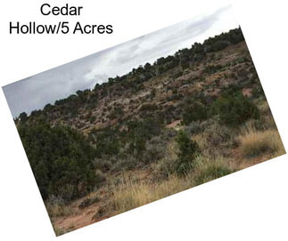 Cedar Hollow/5 Acres