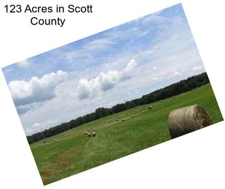 123 Acres in Scott County