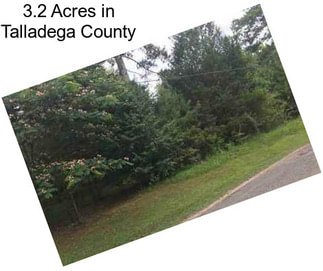 3.2 Acres in Talladega County