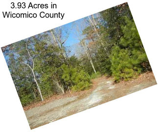 3.93 Acres in Wicomico County