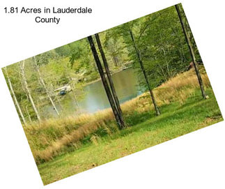1.81 Acres in Lauderdale County