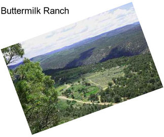 Buttermilk Ranch