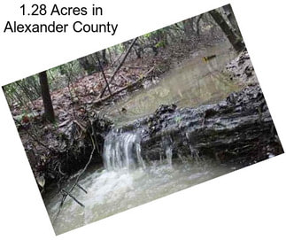 1.28 Acres in Alexander County