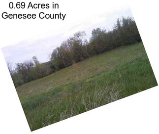 0.69 Acres in Genesee County