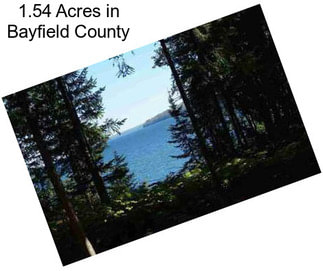 1.54 Acres in Bayfield County