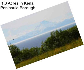 1.3 Acres in Kenai Peninsula Borough