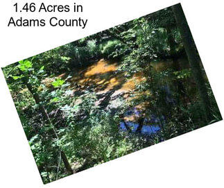 1.46 Acres in Adams County