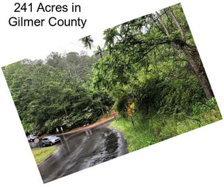 241 Acres in Gilmer County