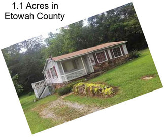 1.1 Acres in Etowah County