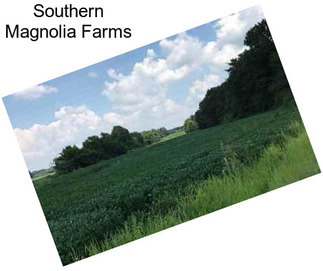 Southern Magnolia Farms