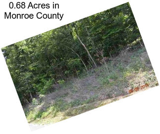 0.68 Acres in Monroe County