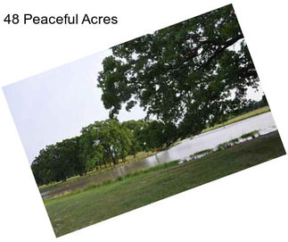 48 Peaceful Acres