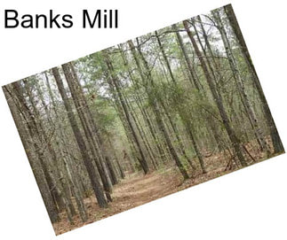 Banks Mill