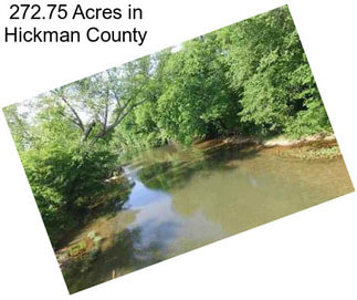 272.75 Acres in Hickman County