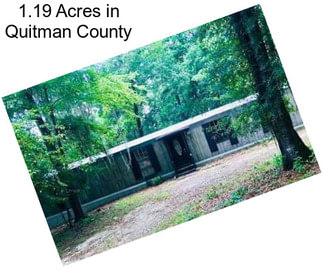 1.19 Acres in Quitman County
